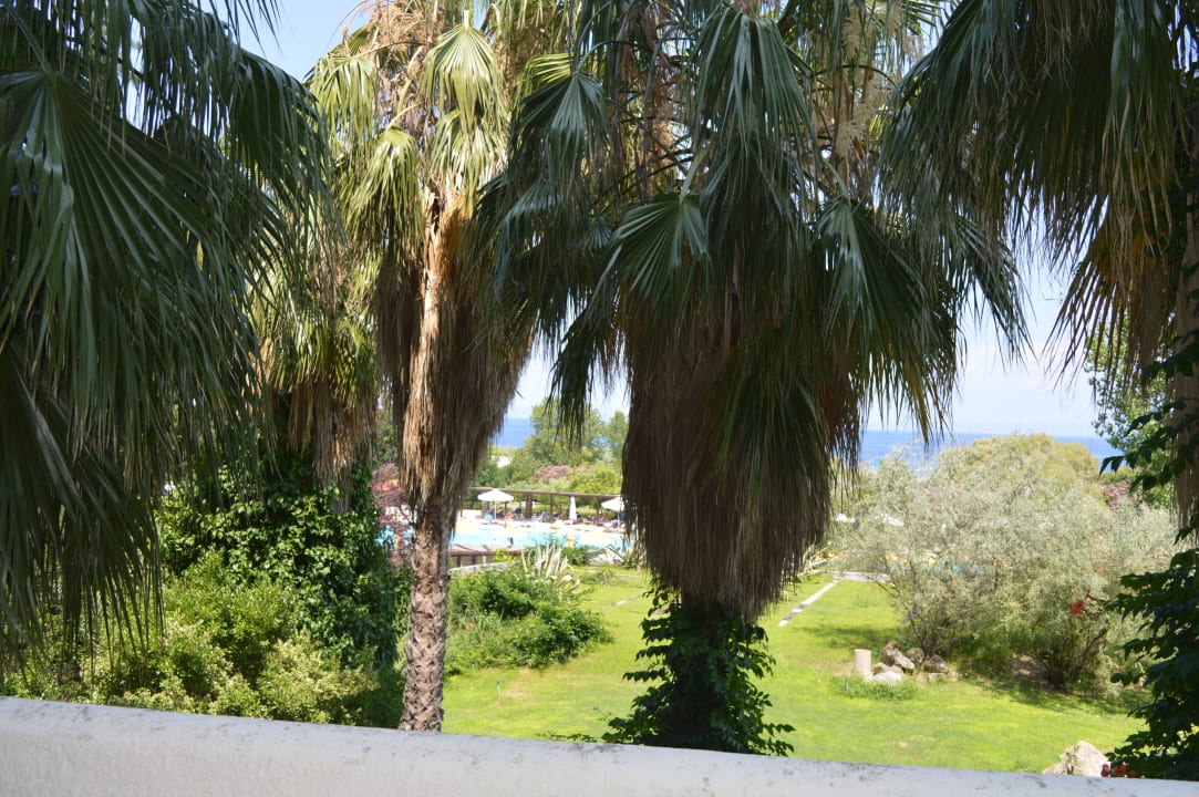 Ogród Hotel Athos Palace