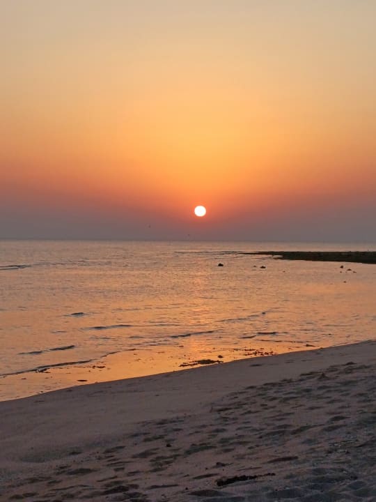 Strand Coral Sun Beach