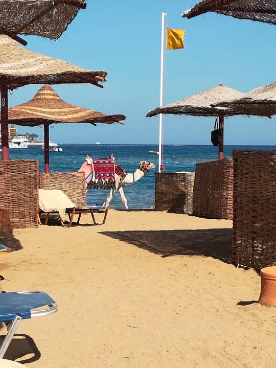Strand Jaz Makadi Saraya Resort