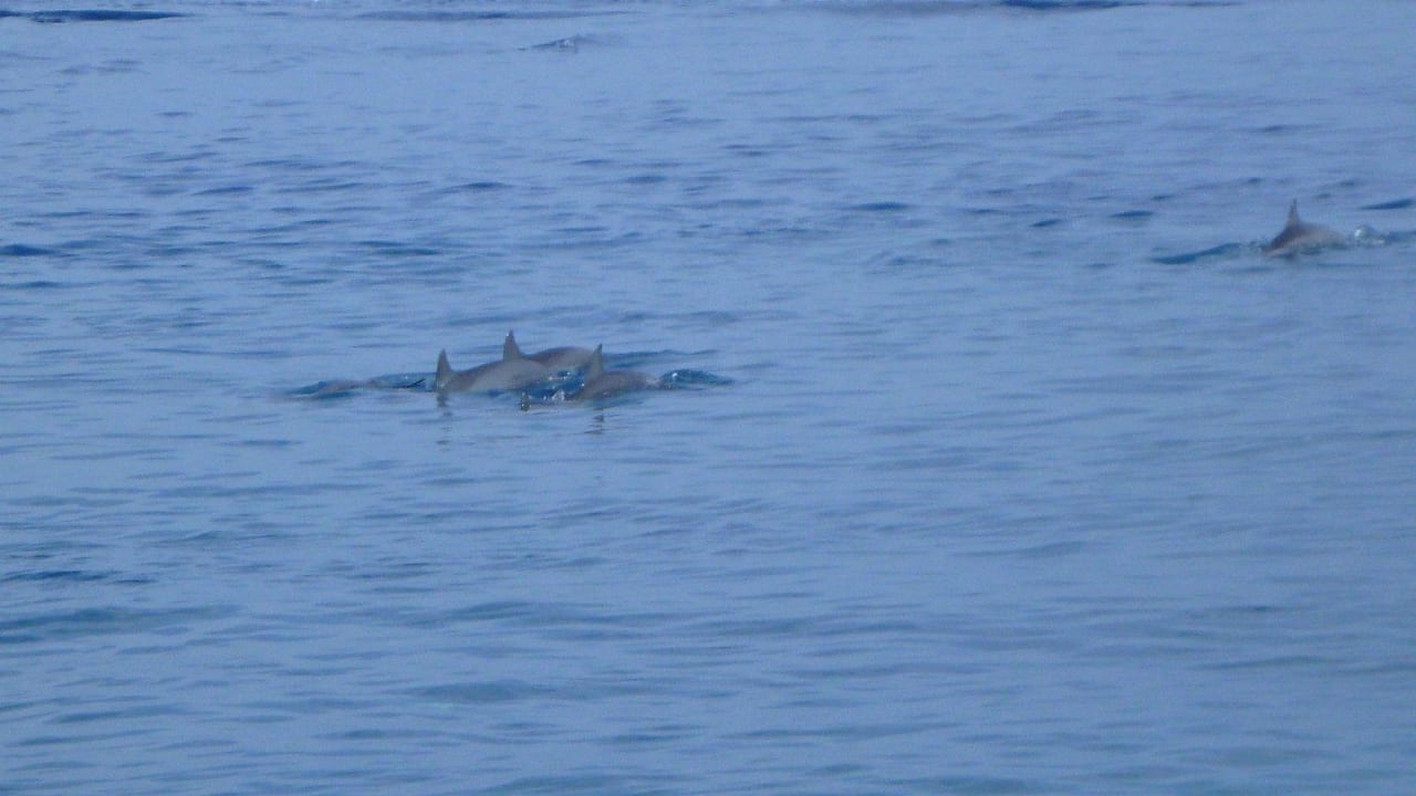 Delphine Adaaran Select Hudhuran Fushi - Premium All Inclusive