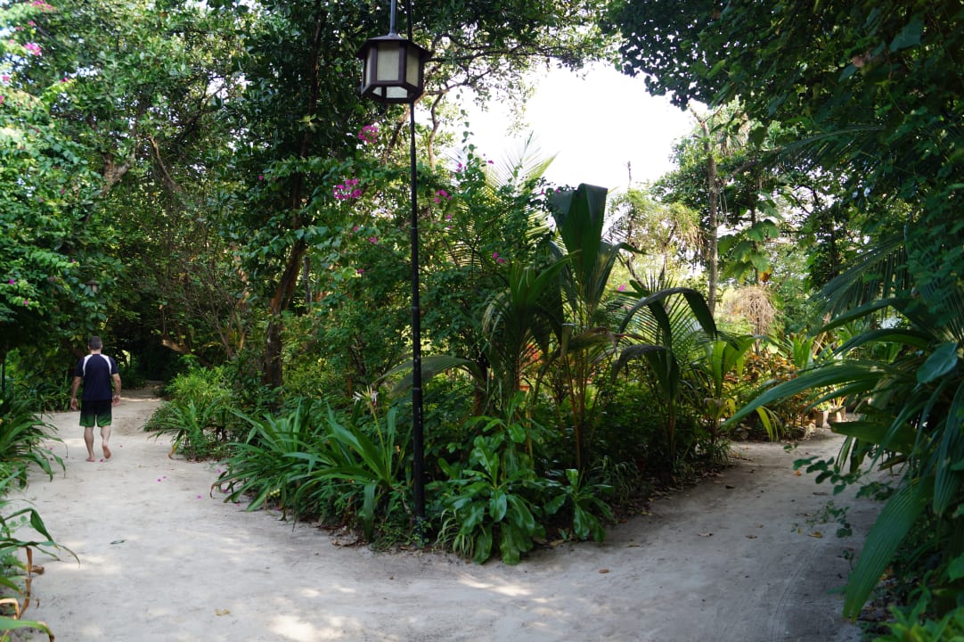 Barfuß durch den Dschungel NH Collection Maldives Reethi Resort