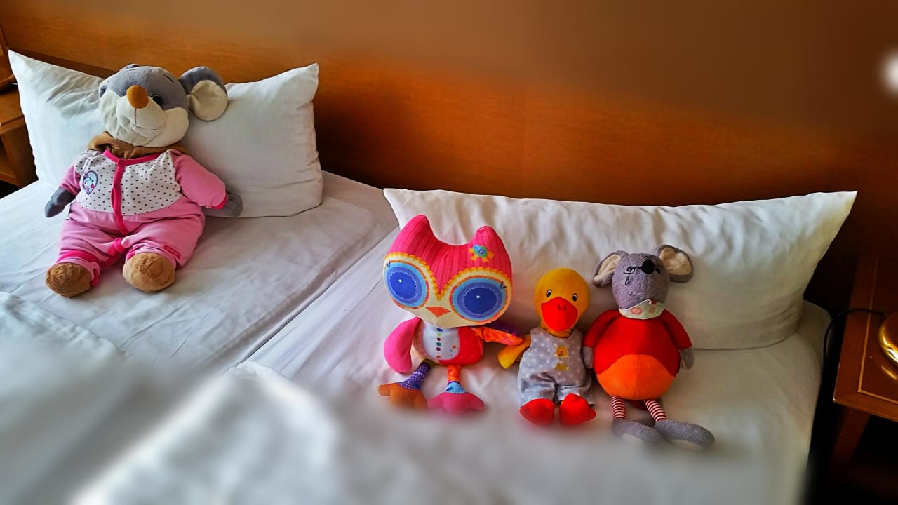 Zimmerreinigung war top AHORN Hotel Am Fichtelberg