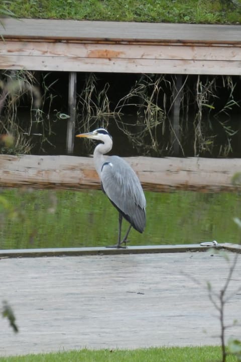 Gartenanlage EuroParcs De IJssel Eilanden