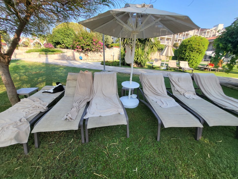 Gartenanlage Arum Barut Collection