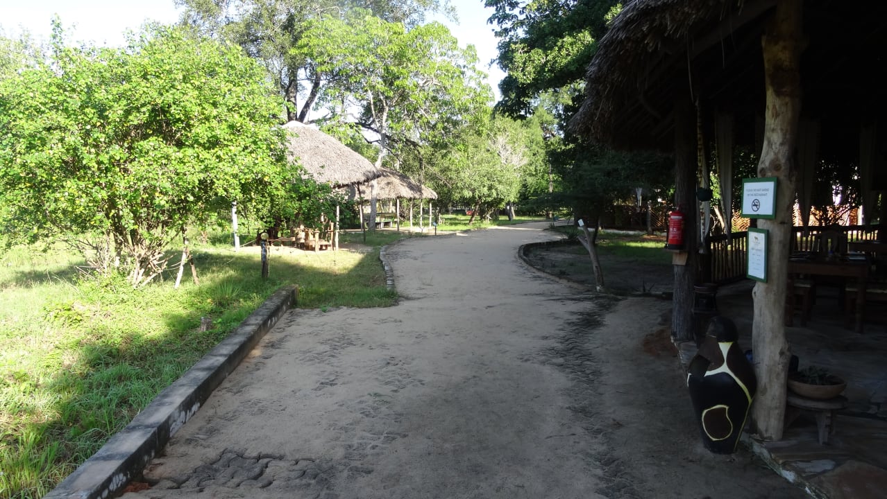 Im Camp Africa Safari Selous