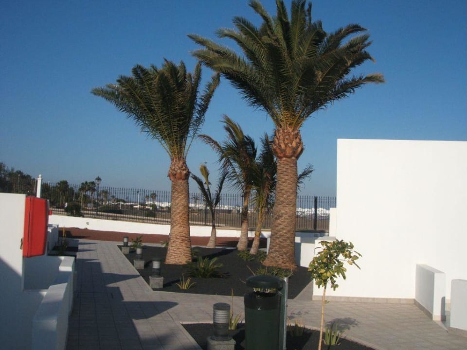 Gartenanlage direkt vor den Zimmern Hotel Las Costas