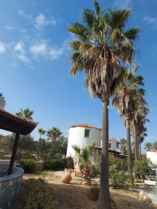 Gartenanlage Euro Village Achilleas Hotel