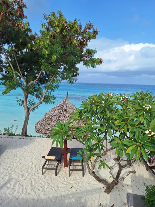 Ausblick Hotel Riu Palace Zanzibar