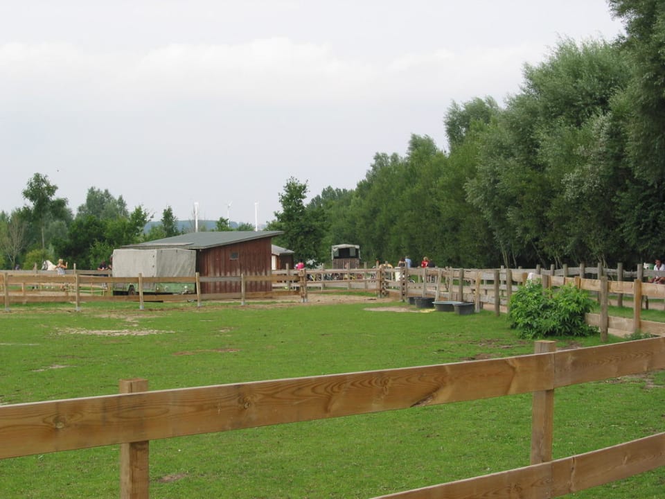 Ponyreiten Camping- und Ferienpark Wulfener Hals