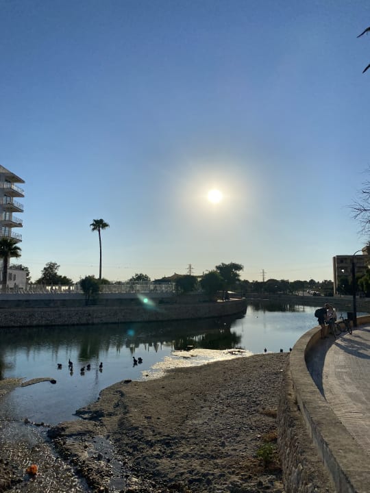 Ausblick Aparthotel Playa Dorada