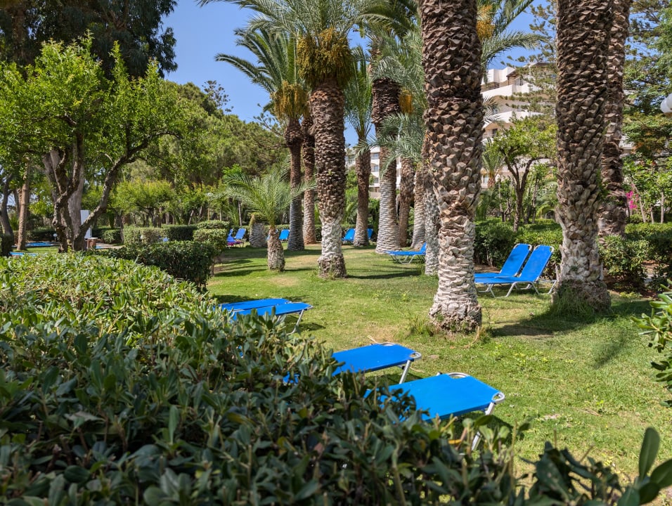 Gartenanlage Apollonia Beach Resort & Spa