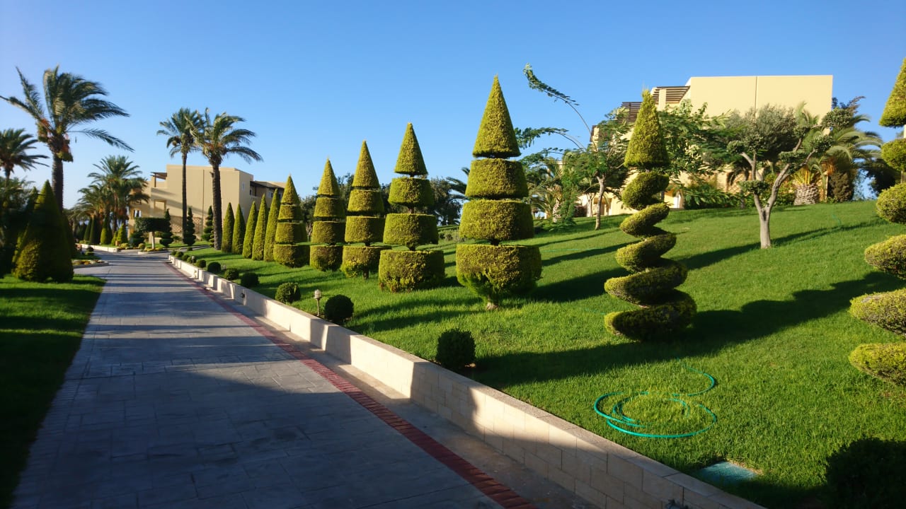 Gartenanlage Hotel Horizon Beach Resort