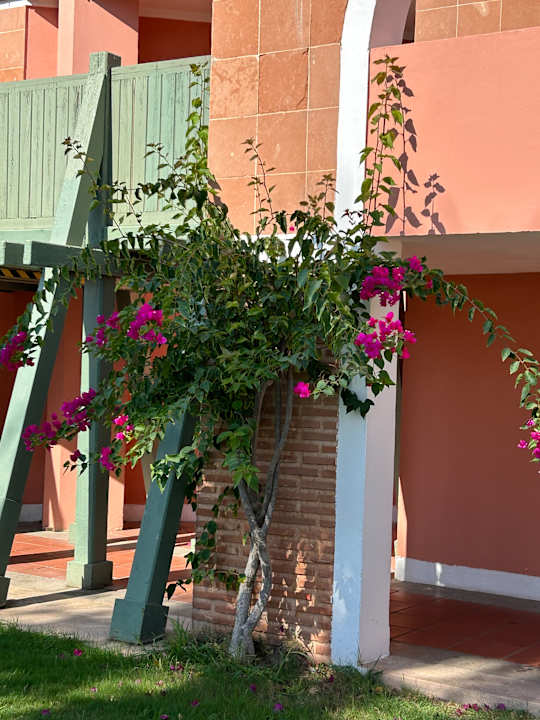 Gartenanlage Megasaray Club Belek