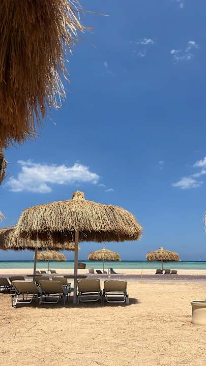 Strand JAZ Elite Asteria