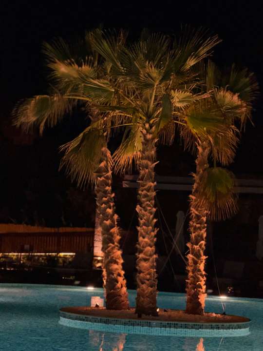 Pool allsun Hotel Carolina Mare