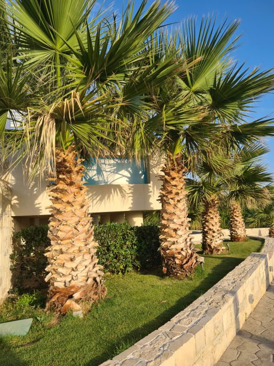 Gartenanlage TUI BLUE Insula Alba