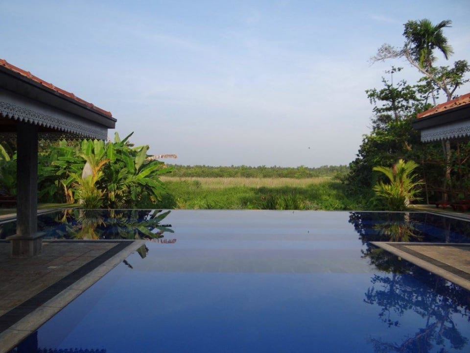 Pool mit Sicht auf Reisfeld Amal Villa