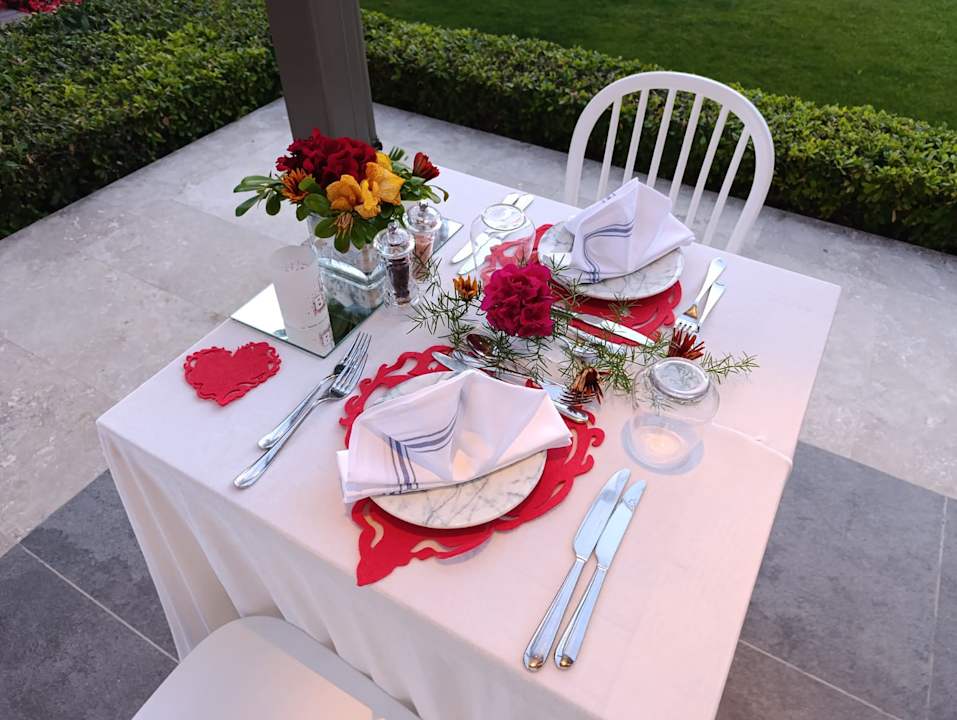 Gastro Acanthus Cennet Barut Collection