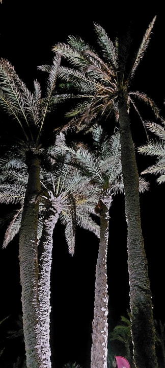 Gartenanlage Zita Beach Resort