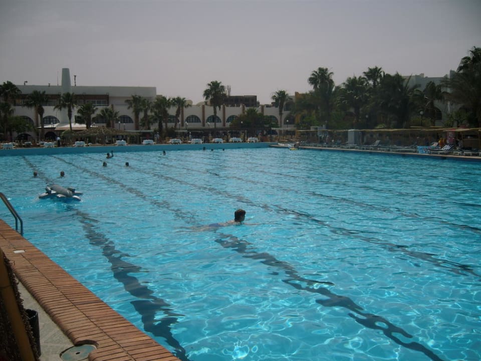 Pool mit Olympiamaße Arabia Azur Resort