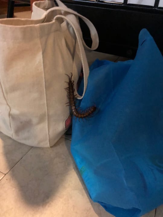 Zimmer Mirella  Villa