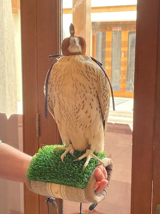 Sonstiges Al Wathba, a Luxury Collection Desert Resort & Spa, Abu Dhabi