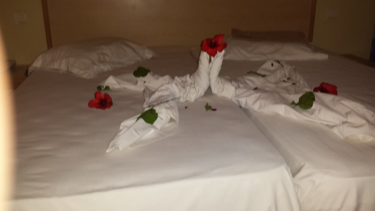 Zimmer Hotel Nesrine