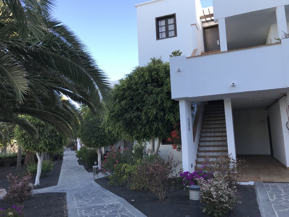 Garten allsun App.-Hotel Albatros