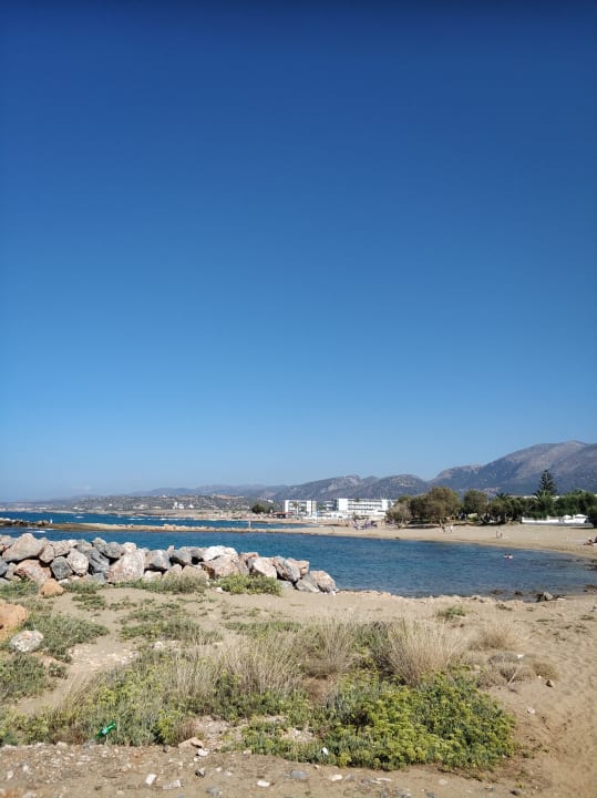 Sonstiges allsun Hotel Carolina Mare