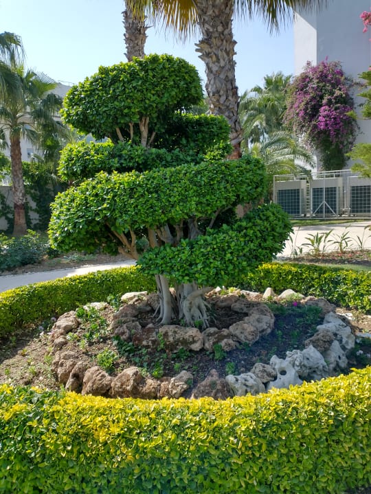 Gartenanlage Grand Seker Hotel