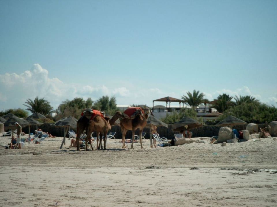Strand Djerba Aqua Resort