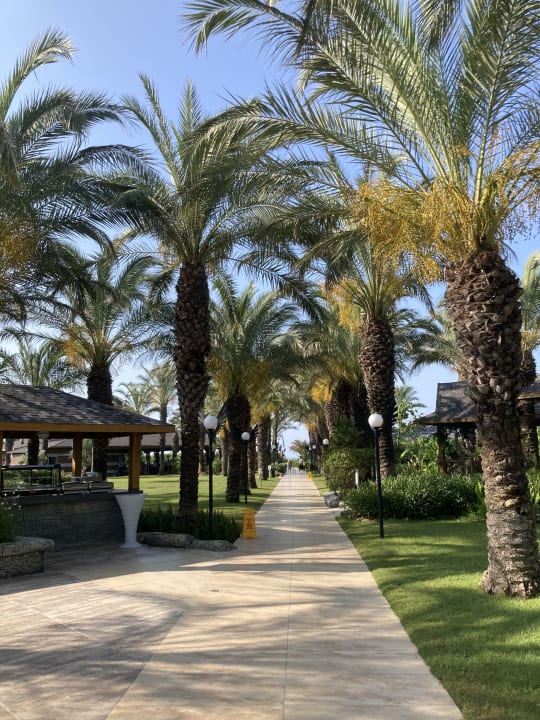 Gartenanlage Royal Wings Hotel