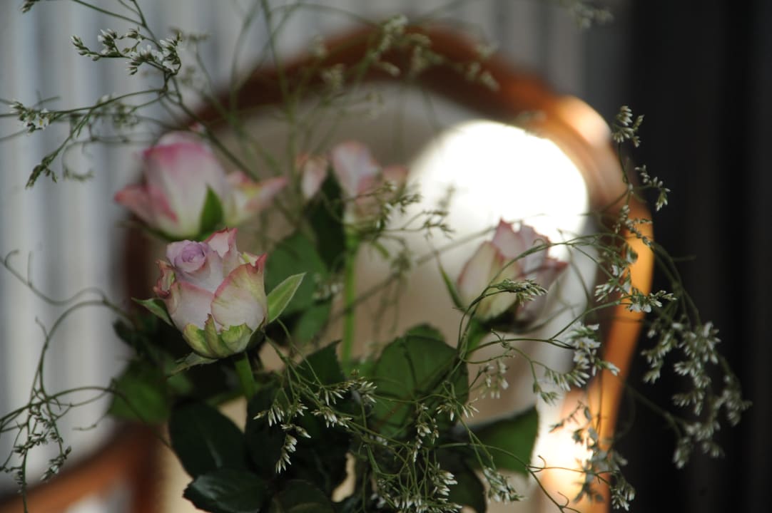 Zimmer le Jardin de Mazan