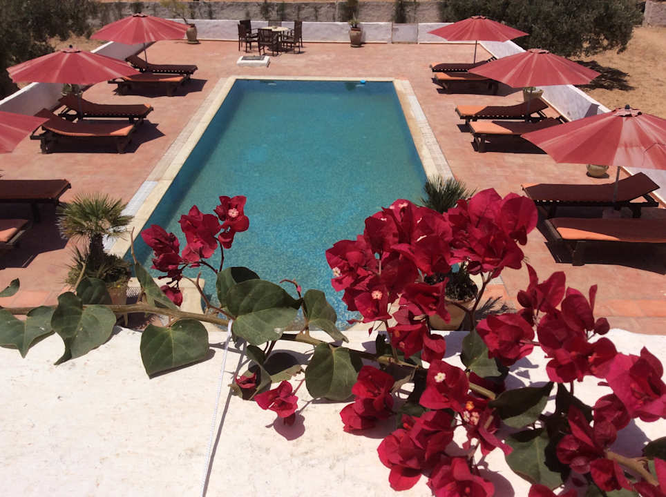 Außenansicht Maison dˋHôte Domaine El-Manar