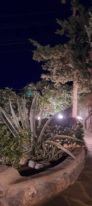 Gartenanlage Apartments Ida Village I & II