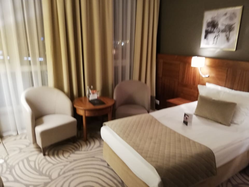 Zimmer Airport Hotel Okecie