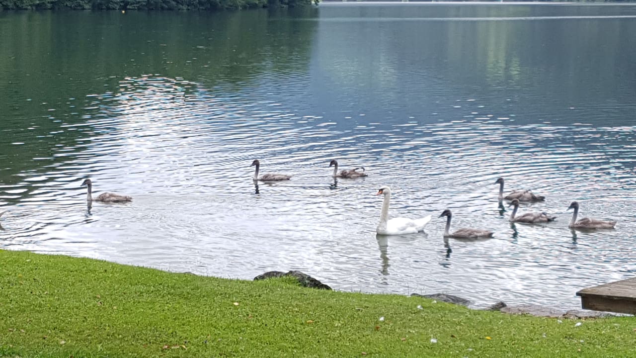 Gartenanlage Hotel Grafhube