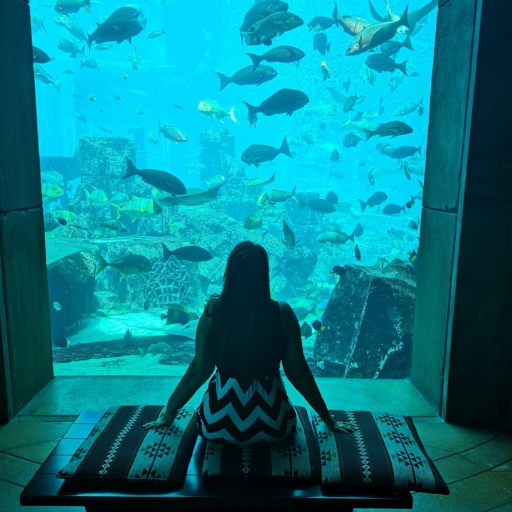 Sport & Freizeit Atlantis, The Palm