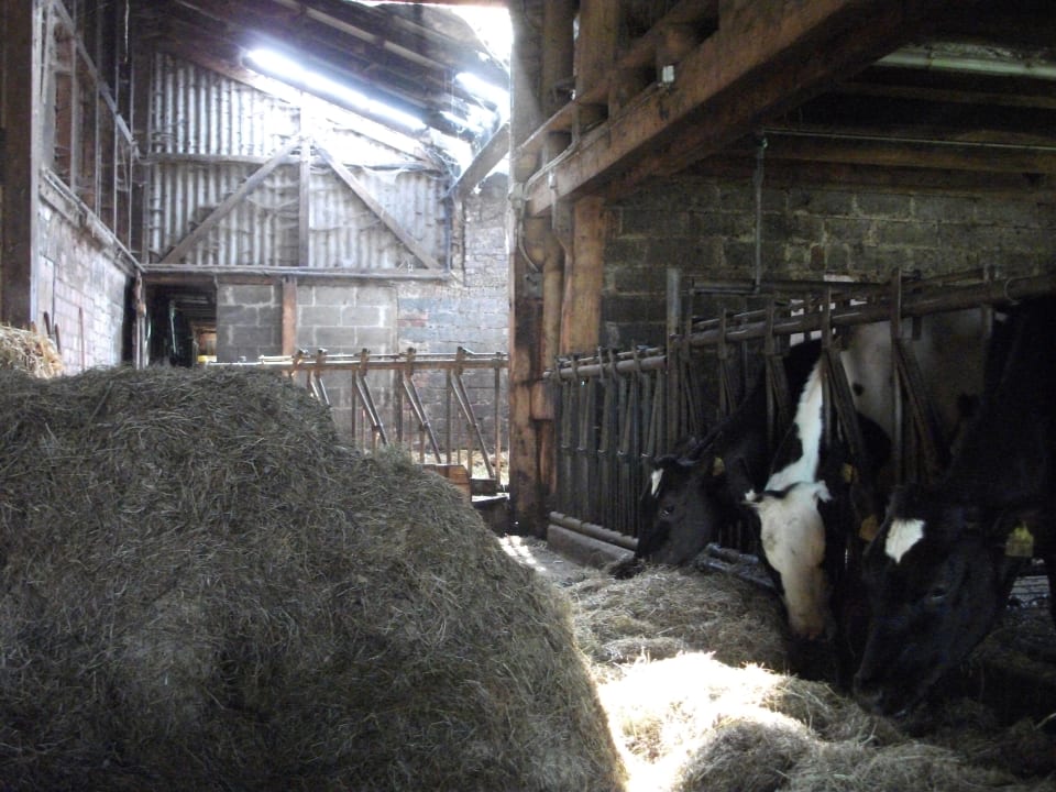 Sonstiges Wiesenberghof