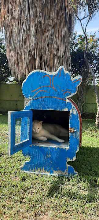 Sport & Freizeit VONRESORT Golden Beach