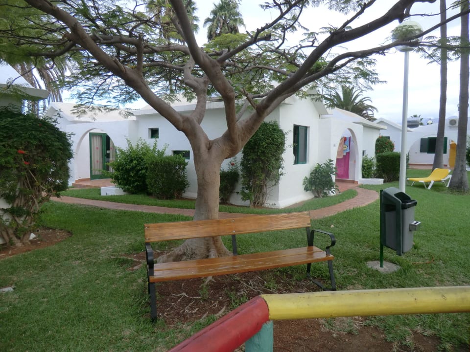 Garten am Spielplatz Canary Garden Club