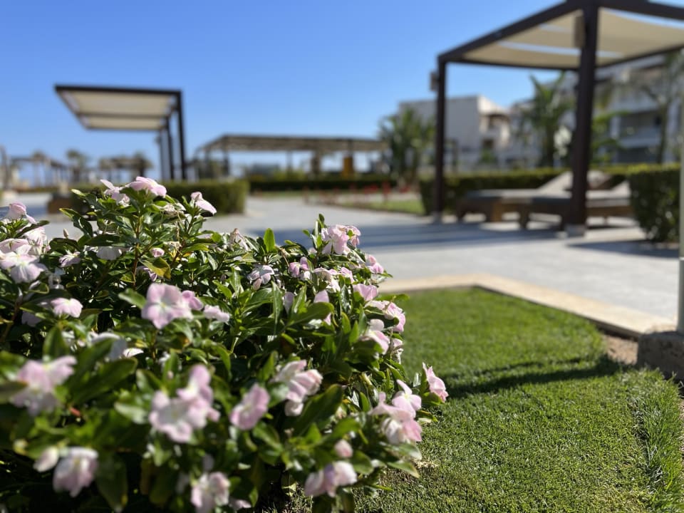 Gartenanlage Steigenberger Resort Alaya Marsa Alam - Red Sea - Adults only