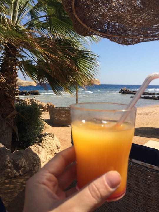 За Citadel Pickalbatros Citadel Resort