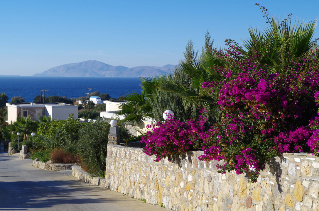 Gartenanlage Hotel Kouros Palace