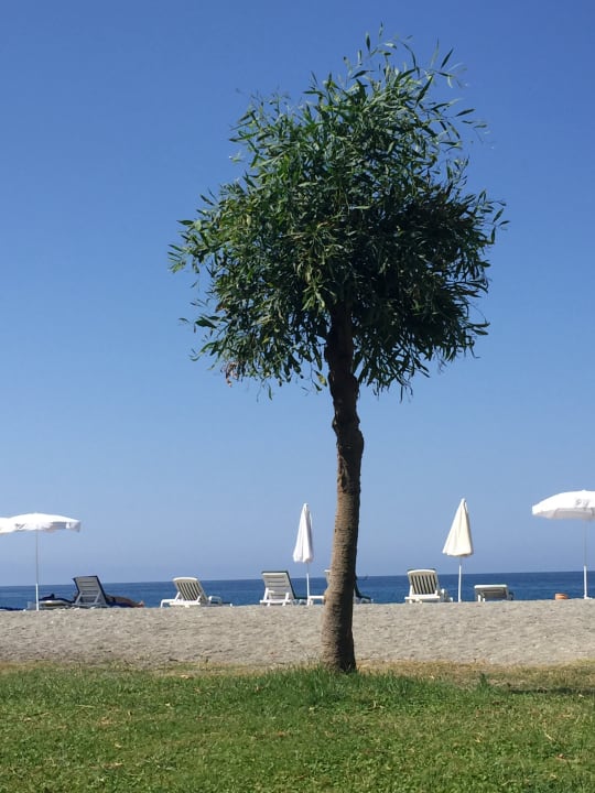 Gartenanlage Labranda Alantur Resort