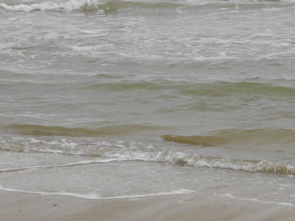 Strand Calimera Hane Garden