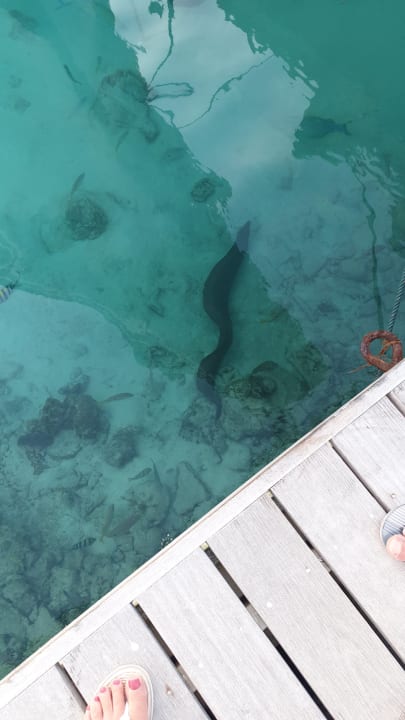 Sonstiges Kuredu Island Resort & Spa