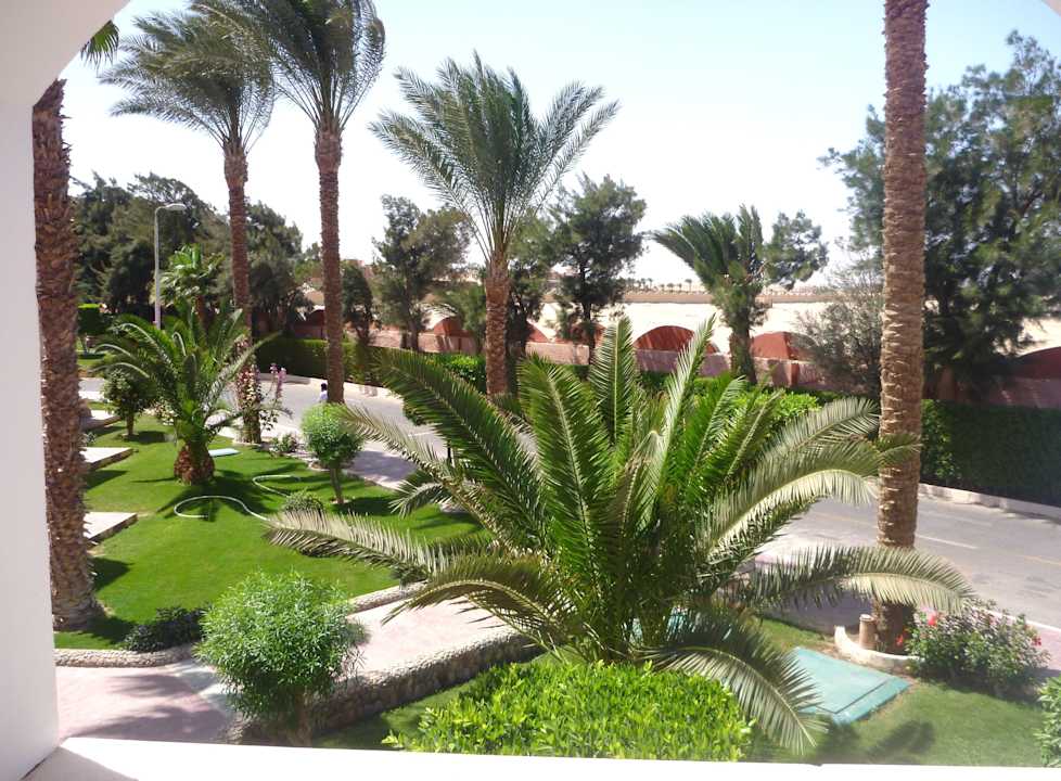 Gartenanlage Beach Albatros Resort