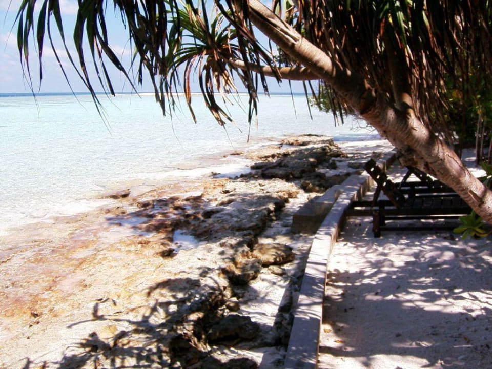 036 Strand nach rechts fotografiert Vilamendhoo Island Resort & Spa