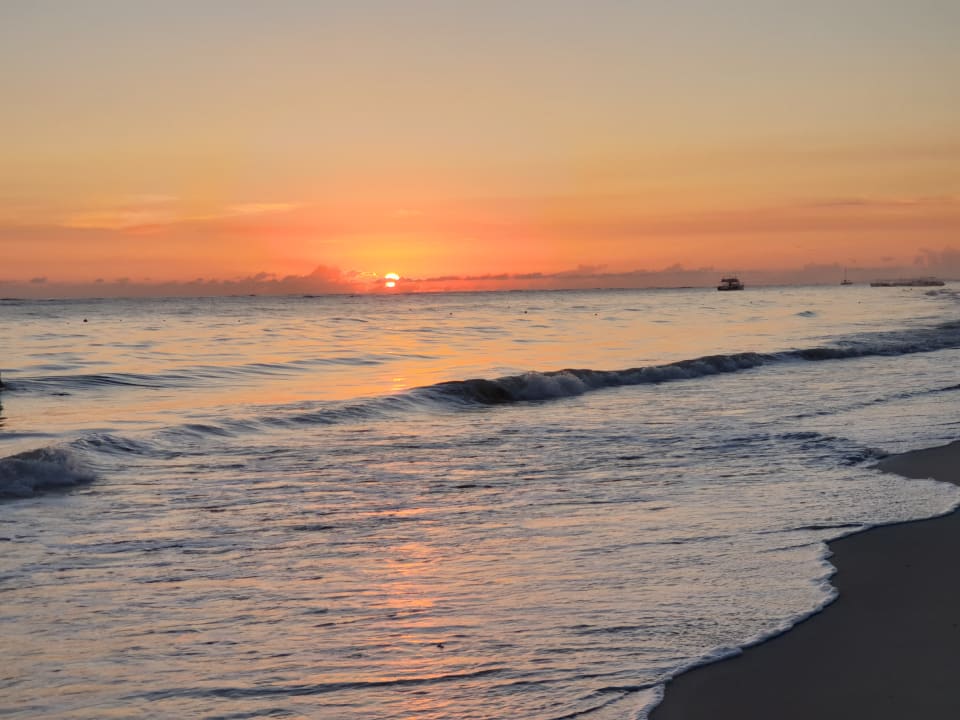 Strand Hotel Riu Palace Punta Cana